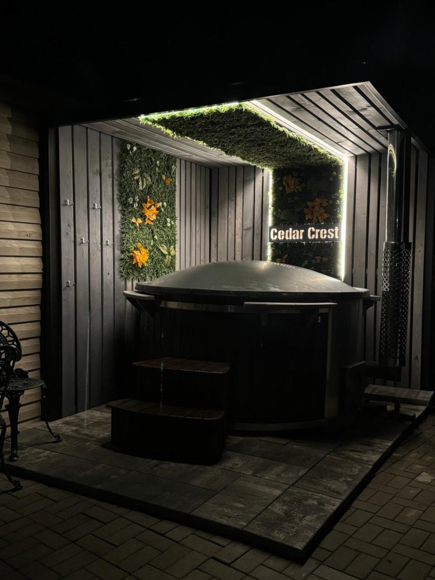 Rîşnov Cedar Crest 아파트 호텔 외부 사진